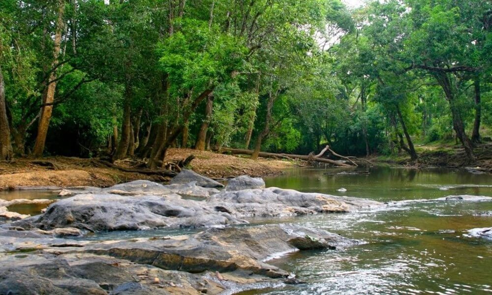 Kuruva Dweep wayanad (Kuruva Island)