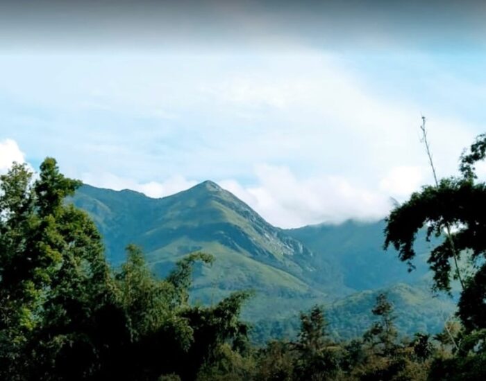 Neelimala View Point 2 Wayanad