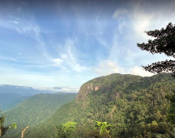 Neelimala View Point 3 Wayanad