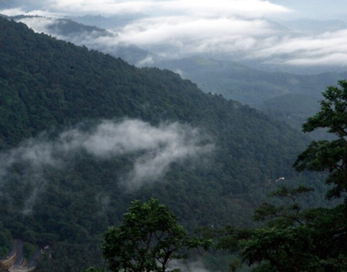 Neelimala View Point 5 Wayanad