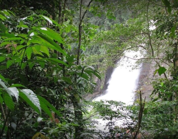 Soochipara Waterfalls 3 Wayanad