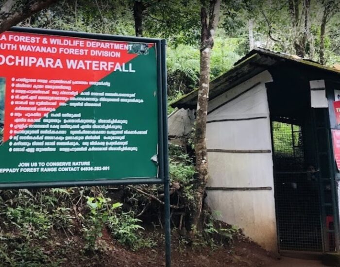 Soochipara Waterfalls 6 Wayanad