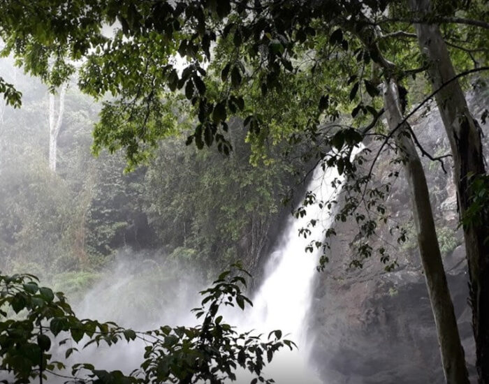 Soochipara Waterfalls   Wayanad