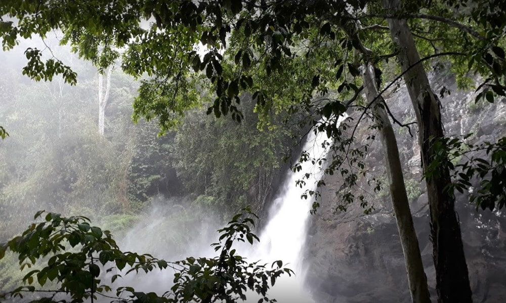 Soochipara Waterfalls, Wayanad